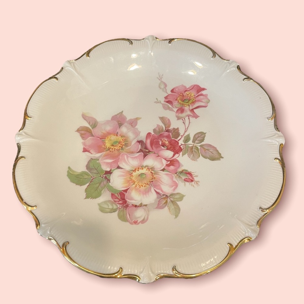 Schumann Arzburg Germany Wild Rose